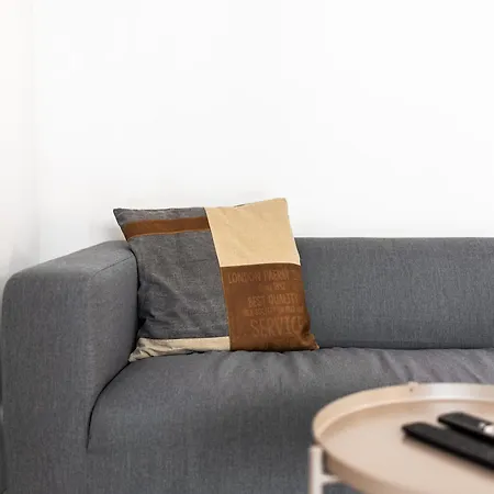 T2 Centre Avec Parking Gratuit Et Jardin トゥールーズ